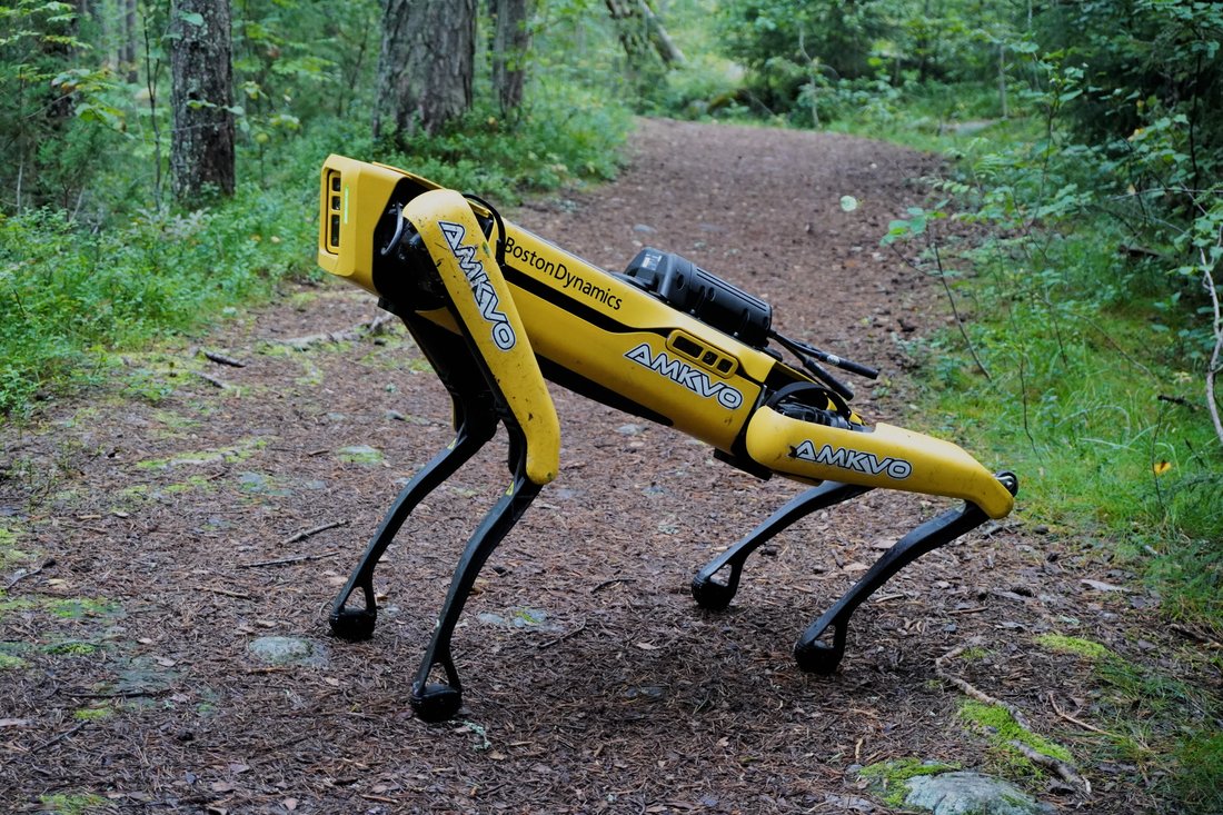 Boston Dynamics Spot 4족 로봇 실물